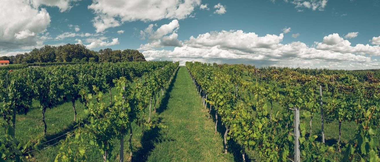 v1_migrated_image_80739273