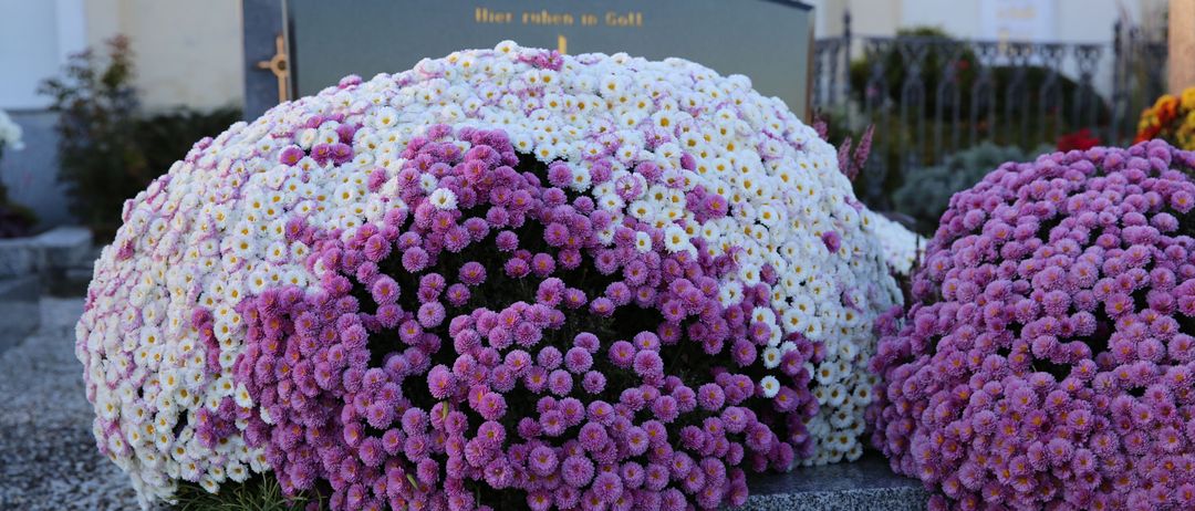 Eine große Anordnung aus lila und weißen Blumen schmückt ein Steingrab auf einem Friedhof, mit einem Grabstein, auf dem 'Hier ruhen in Gott' steht.