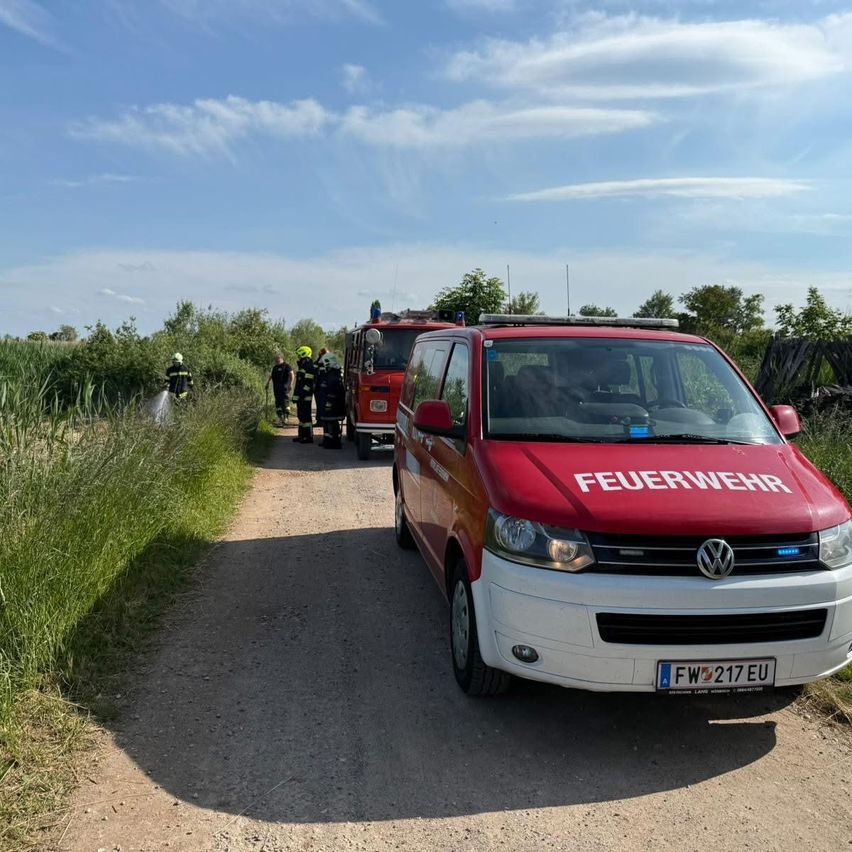 Ein roter VW-Bus steht auf einem Feldweg. Dahinter ist ein Feuerwehrwagen geparkt, und Feuerwehrleute sprühen Wasser. Sie stehen in der Nähe von hohem Gras.