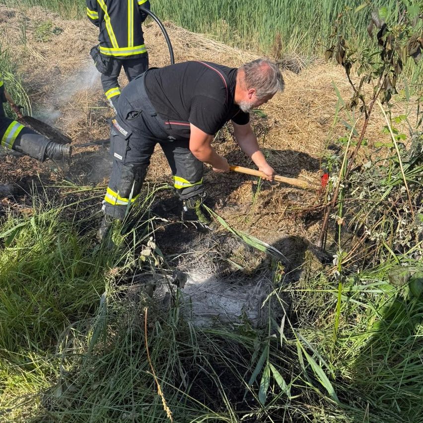 Ein Feuerwehrmann in einem schwarzen Shirt räumt mit einer Axt hohes Gras. Ein anderer Feuerwehrmann sprüht in der Nähe Wasser.