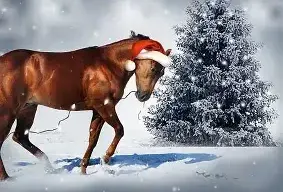 Ein braunes Pferd mit einem Weihnachtshut läuft im Schnee, ein Kiefernbaum im Hintergrund.