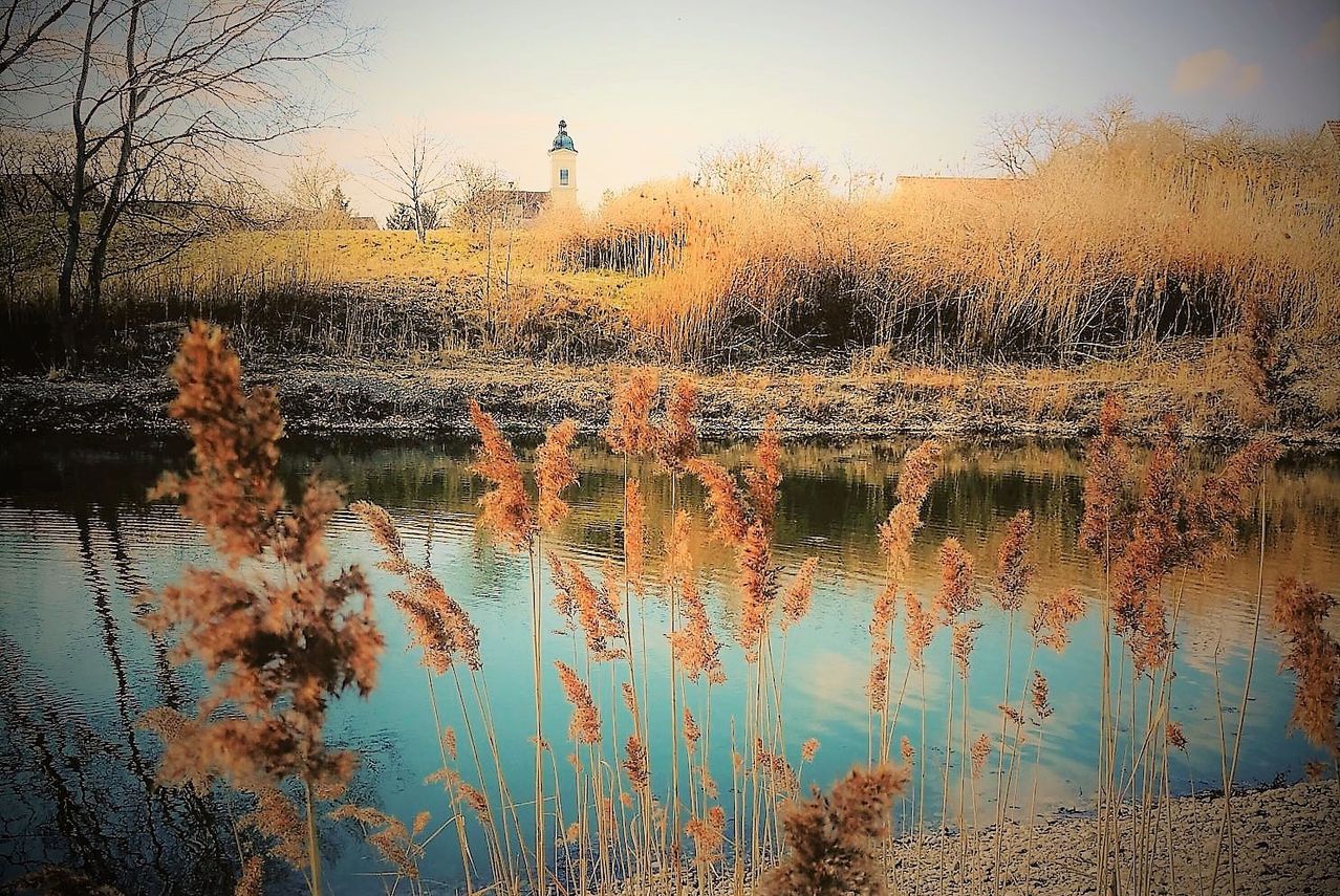Ein ruhiger See mit hohen Schilfrohr und einem Kirchturm im Hintergrund. Der Himmel ist klar und der Boden ist mit Gras bedeckt.