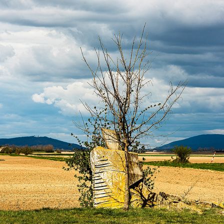 Ein gelber Klavierstamm liegt in der Nähe eines kahlen Baumes auf einem weiten Feld mit Bergen im Hintergrund unter einem bewölkten Himmel.
