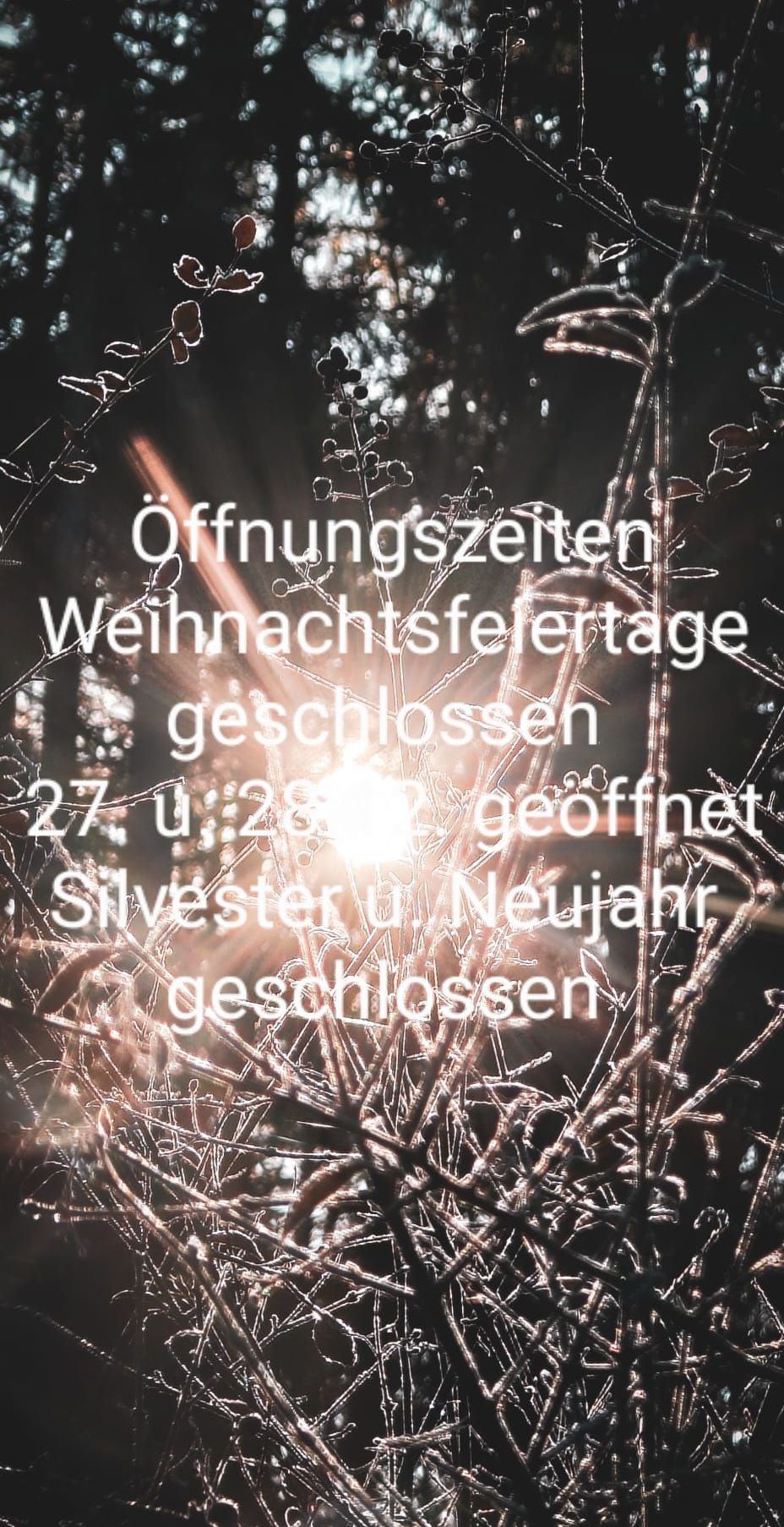 Bild zeigt ein helles Licht hinter vereisten Zweigen. Der Text lautet 'Öffnungszeiten Weihnachtsfeiertage geschlossen' und 'Geöffnet an Silvester und Neujahr'.