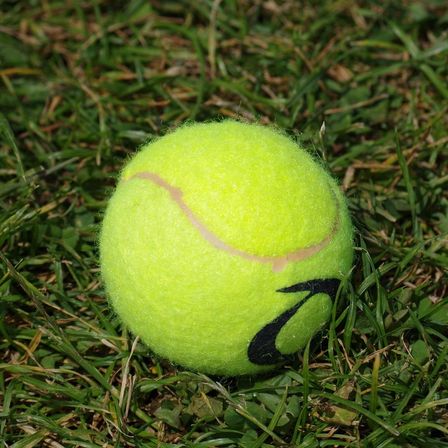 Ein Tennisball mit schwarzem und weißem Logo liegt auf grünem Gras.