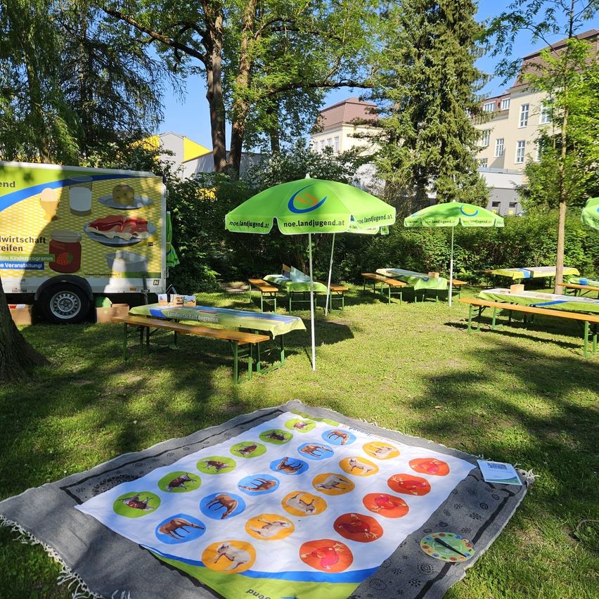 Ein sonniger Park mit mehreren grünen Sonnenschirmen, Bänken und einem Imbisswagen. Ein Outdoor-Spiel mit Pferdebildern liegt auf dem Rasen.