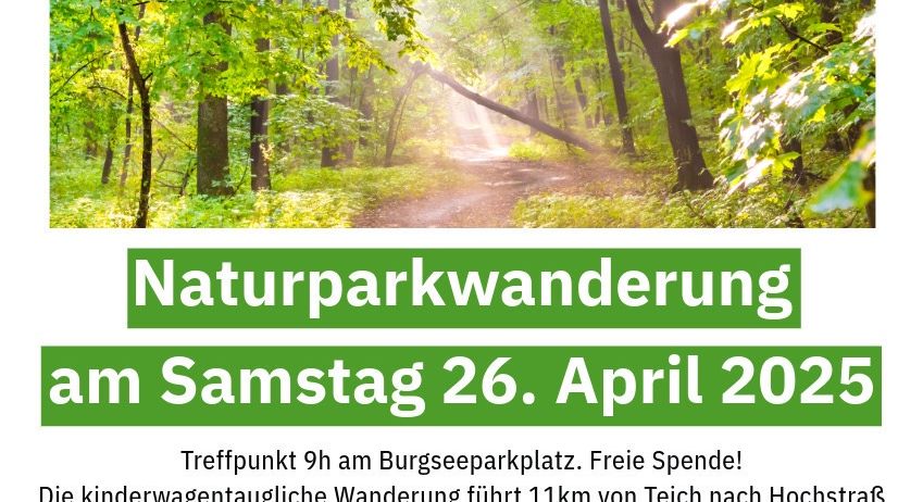 Bild enthält, Advertisement, Poster, Plant, Vegetation, Herbal, Herbs, Nature, Outdoors, Tree, Woodland