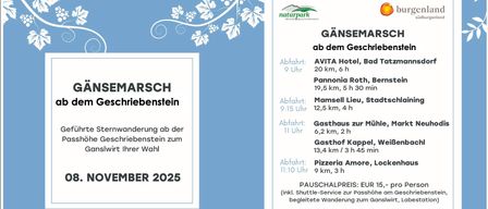 Plakat für die Gansemarsch-Veranstaltung im November 2025. Beinhaltet Shuttle-Service und Sternwanderung vom Gschrieben. Abfahrtspunkte und -zeiten vom AVITA Hotel, Pannonia Roth, Mamsell Lieu, Gasthaus zur Mühle, Gasthof Kappel und Pizzeria Amore.