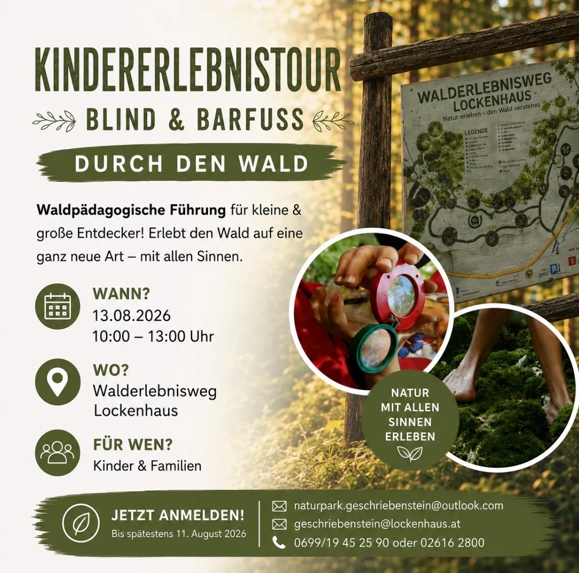 Plakat für eine Kinderwalderlebnistour, mit einer Karte, einer Lupe und einem Waldpfad. Die Veranstaltung ist für Kinder und Familien, findet am 13. August 2026 von 10:00 bis 13:00 im Walderlebnisweg Lockenhaus statt. Kontaktdetails und Anmeldeinformationen sind angegeben.