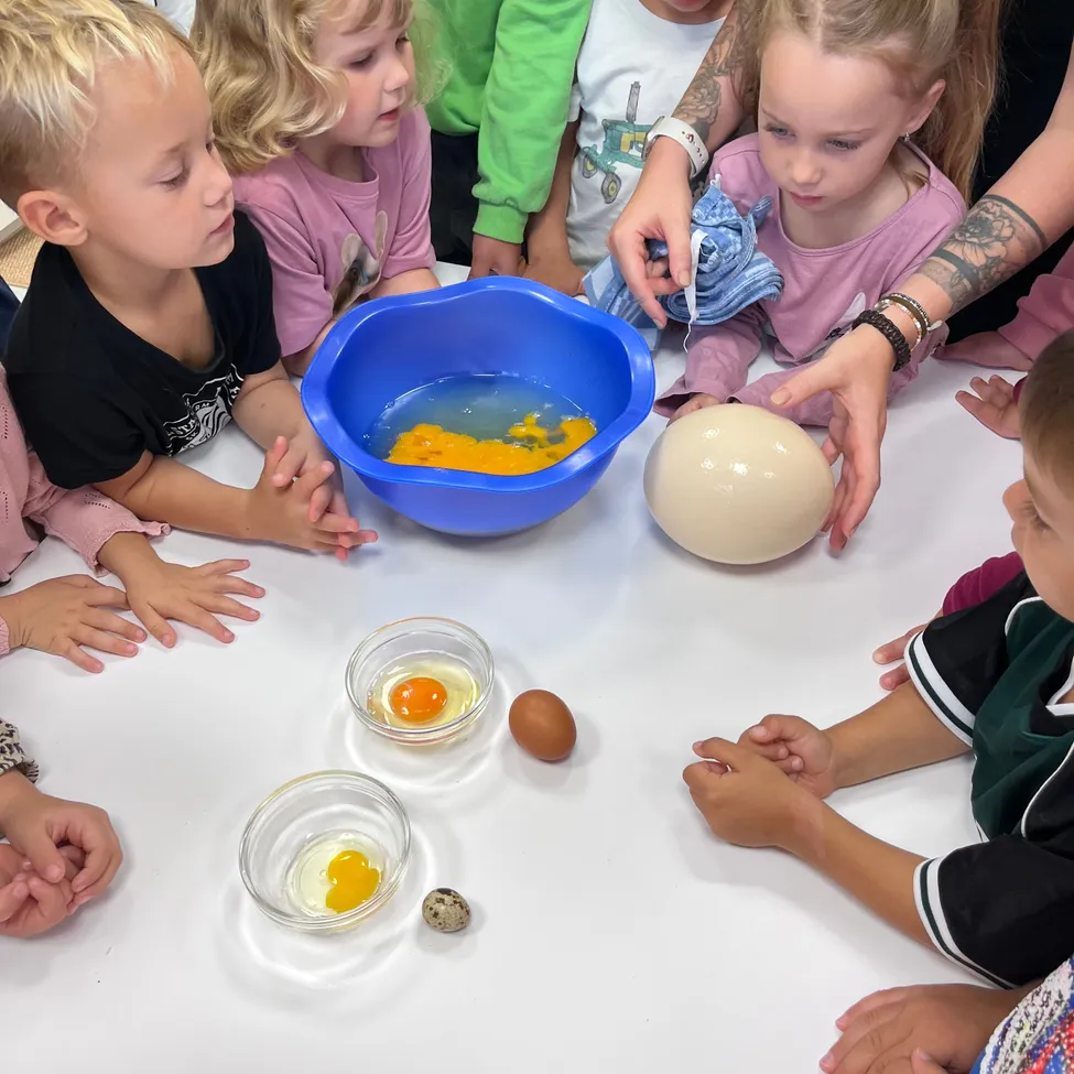 Eine Gruppe von Kindern ist um einen Tisch versammelt und beobachtet, wie eine Erwachsene ein Ei in eine Schüssel bricht.