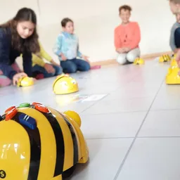 Boy, Child, Male, Person, Female, Girl, Face, Head, Crawling