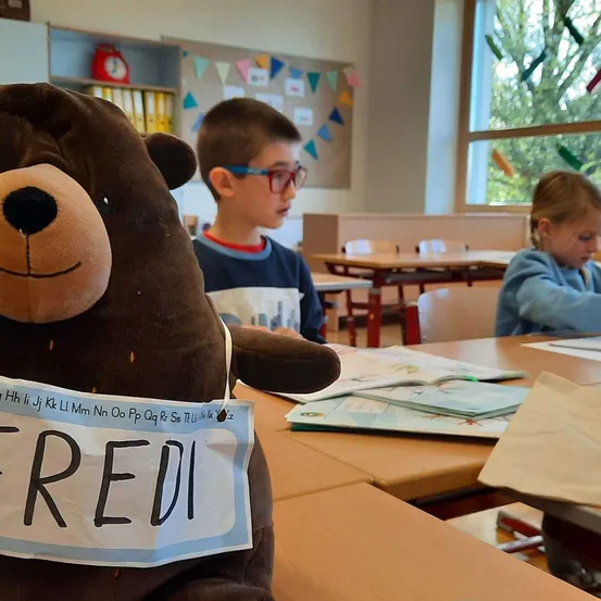 Person, Student, Child, Female, Girl, Boy, Male, Teddy Bear, Face, Head