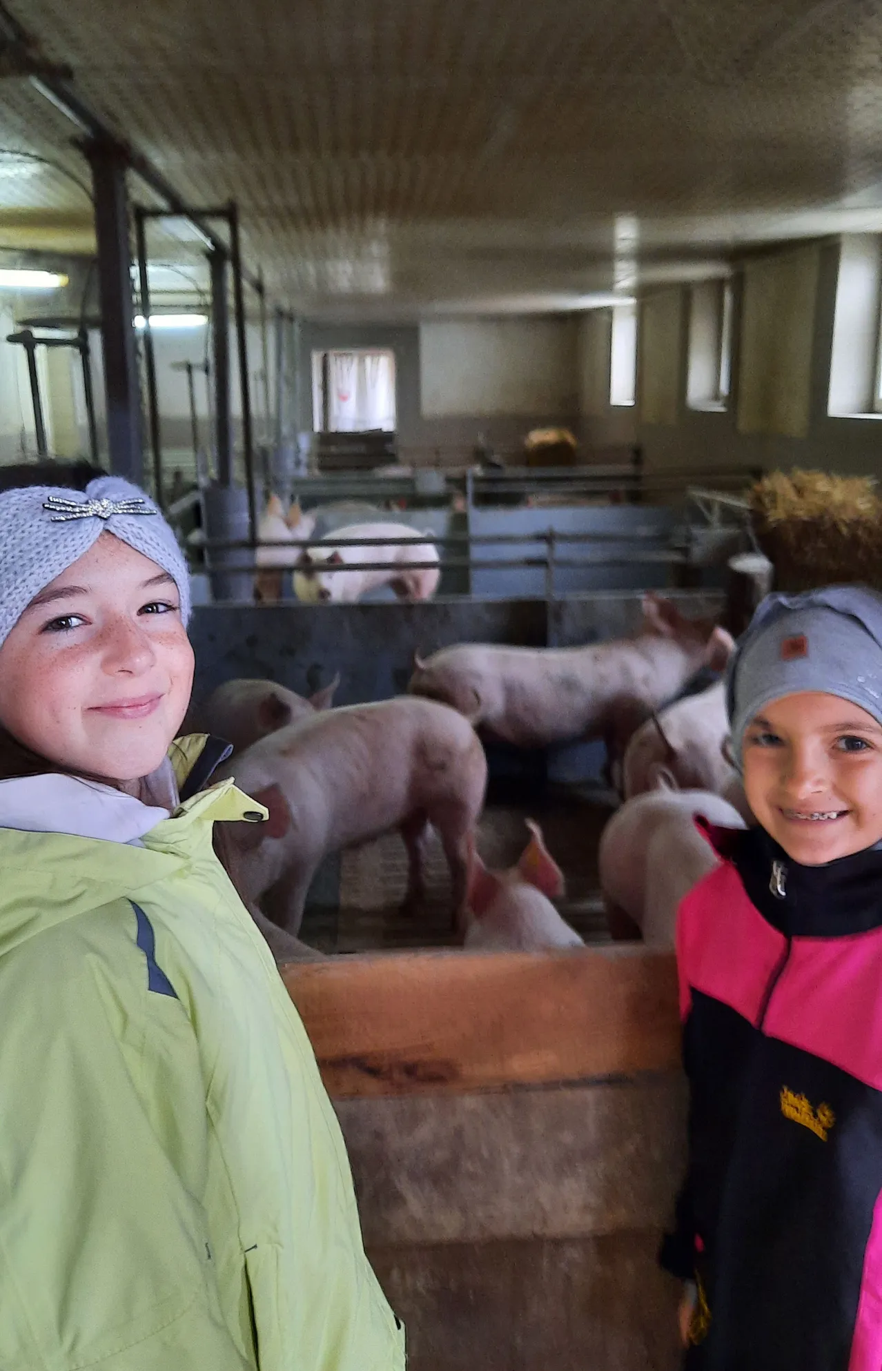 Cap, Hat, Mammal, Pig, Coat, Person, Boy, Child, Male, Portrait