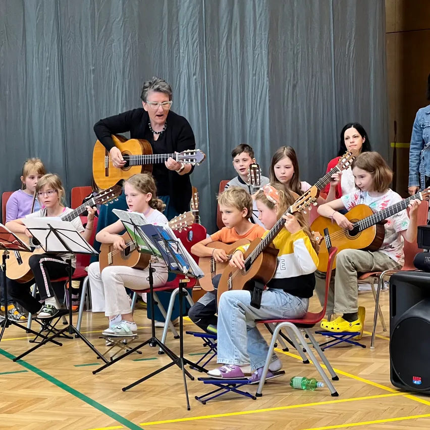 Speaker, Guitar, Guitarist, Musician, Performer, Person, Group Performance, Adult, Female, Woman
