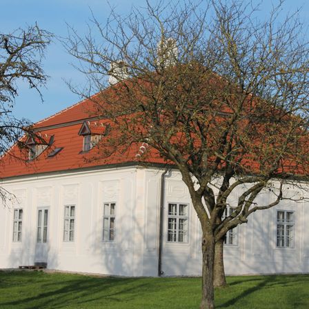 Bild enthält, Grass, Tree, Tree Trunk, Lawn, Building, Housing, House, Roof, Outdoors, Nature