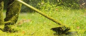 Eine Person mäht mit einer Rasenmäher an einem sonnigen Tag. Der Mäher ist in Bewegung und verteilt Grasschnitt.