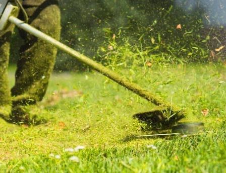 Eine Person mäht mit einer Rasenmäher an einem sonnigen Tag. Der Mäher ist in Bewegung und verteilt Grasschnitt.