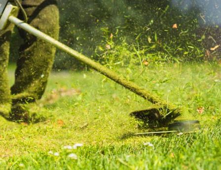 Eine Person benutzt einen Rasenmäher, um das Gras an einem sonnigen Tag zu mähen, wobei Grasschnitte in der Luft fliegen.