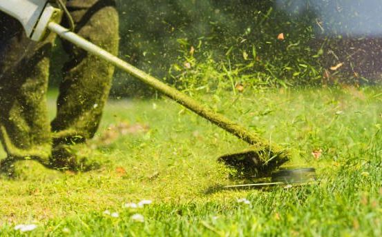 Eine Person benutzt einen Rasenmäher, um das Gras an einem sonnigen Tag zu mähen, wobei Grasschnitte in der Luft fliegen.