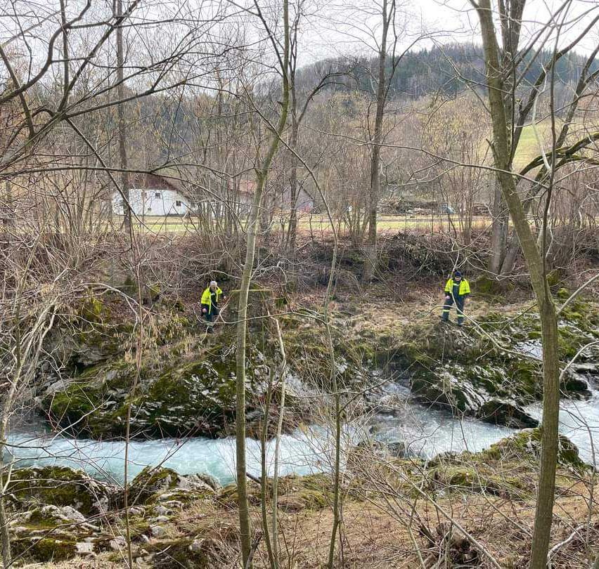 Bild enthält, Land, Nature, Outdoors, Vegetation, Woodland, Pond, Water, Person, Canoeing, Grove