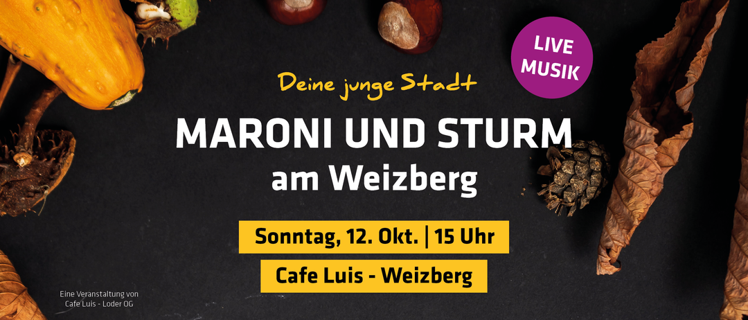 Ein Poster bewirbt eine Veranstaltung mit Kastanien. Es steht 'Deine junge Stadt' und 'ARONI UND STUR am Weißberg'. Der Termin ist Sonntag, 12. Oktober, um 15 Uhr. Ort: Cafe Luis - Weißberg.