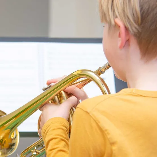 Musical Instrument, Brass Section, Flugelhorn, Boy, Child, Male, Person, Horn, Head, Trumpet