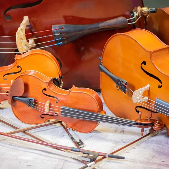 Cello, Musical Instrument, Violin