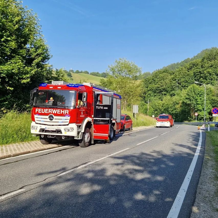 Ein roter Feuerwehrwagen steht mit offener Tür am Straßenrand. Zwei Autos sind in der Nähe geparkt, und es gibt Bäume und Gras am Straßenrand.