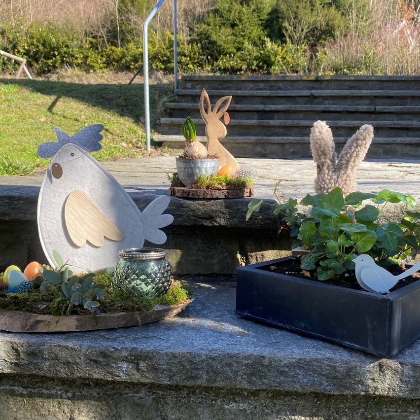 Bild enthält, Plant, Potted Plant, Jar, Planter, Pottery, Vase, Chicken, Outdoors, Tabletop, Backyard