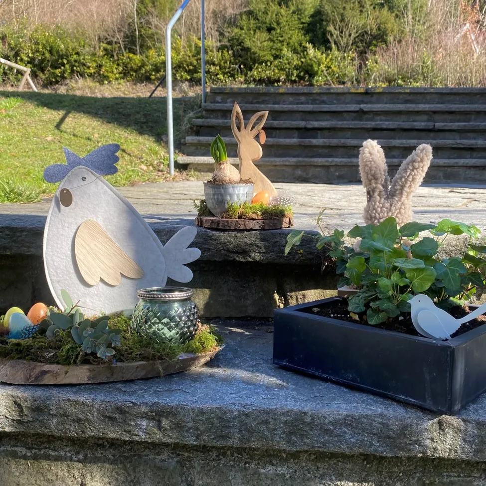 Plant, Potted Plant, Jar, Planter, Pottery, Vase, Chicken, Outdoors, Tabletop, Backyard