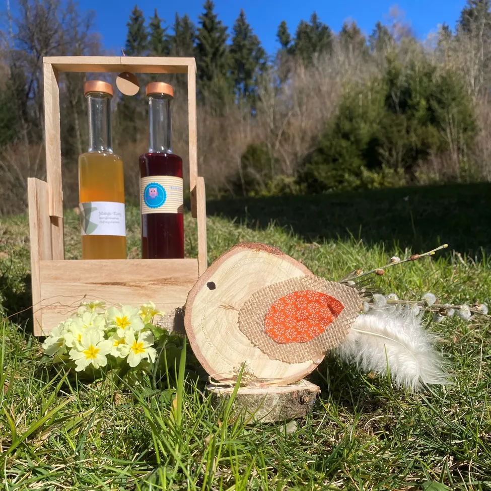 Fun, Leisure Activities, Picnic, Picnic Basket