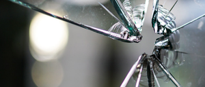 Bild enthält, Canopy, Spoke, Insect, Car, Vehicle, Windshield, Umbrella