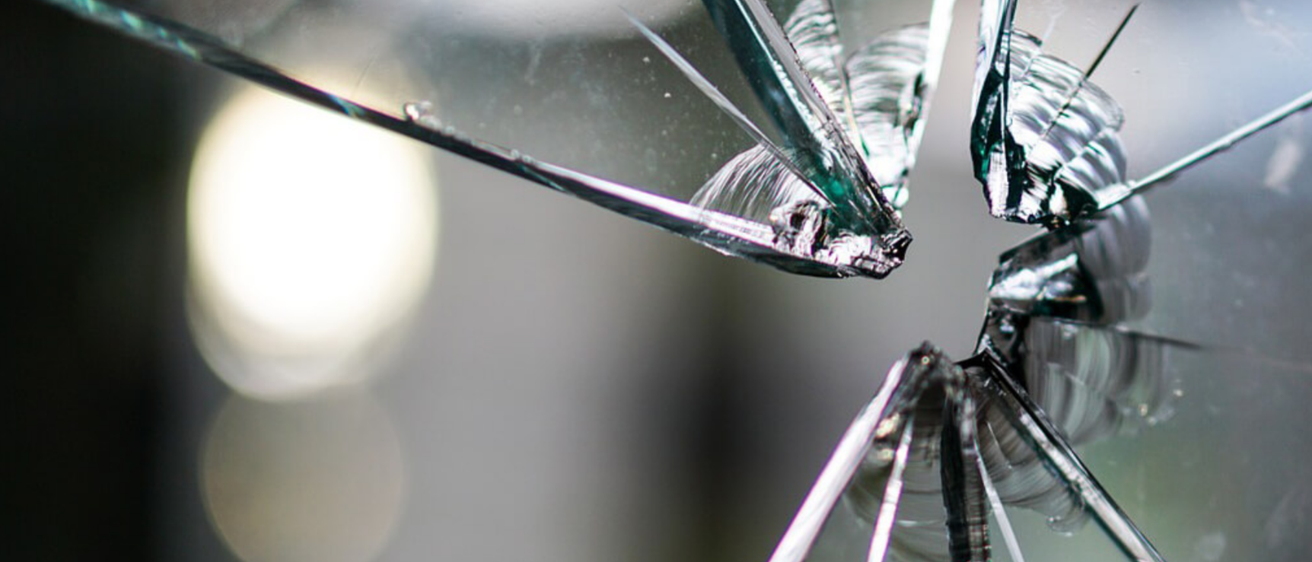 Bild enthält, Canopy, Spoke, Insect, Car, Vehicle, Windshield, Umbrella