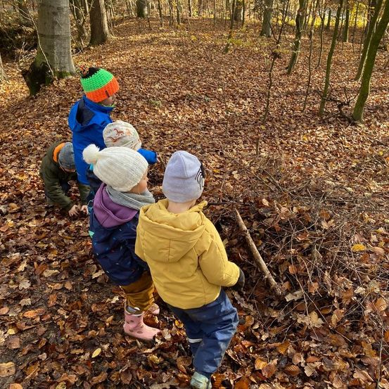 Bild enthält, Vegetation, Grove, Land, Tree, Woodland, Walking, Photography, Portrait, Path, Coat