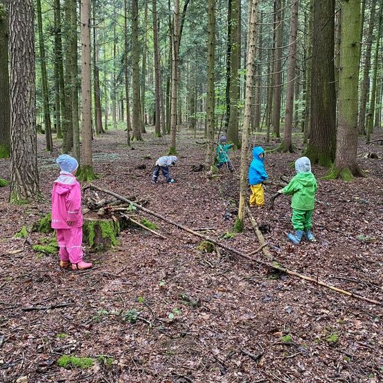Bild enthält, Coat, Person, Vegetation, Nature, Outdoors, Woodland, Glove, Path, Shoe, Helmet