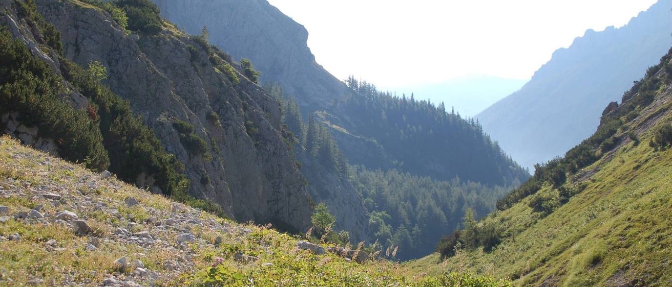 v1_migrated_image_76524877