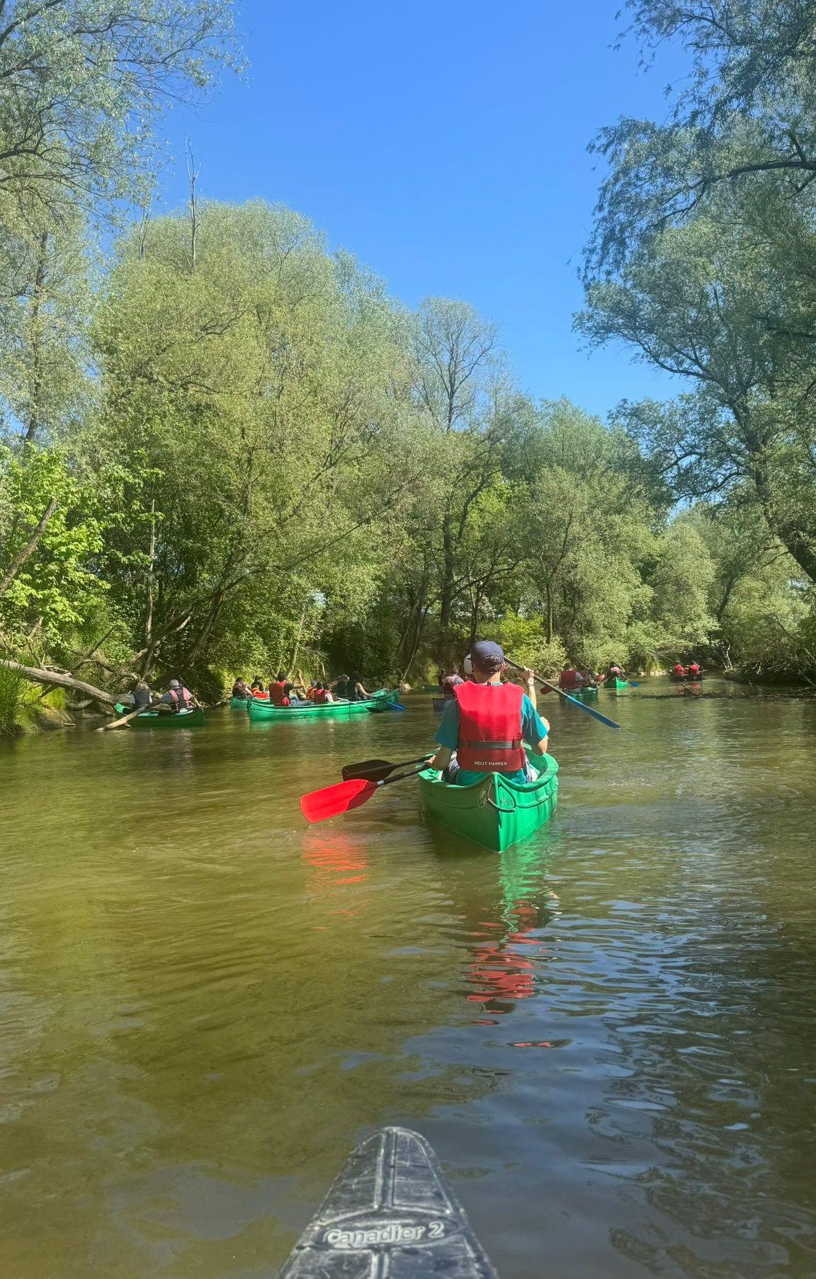 Eine Gruppe von Menschen paddelt in grünen Kanus auf einem Fluss, umgeben von Bäumen und klarem Himmel.