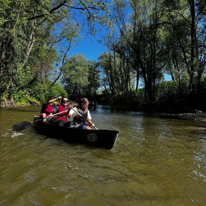 Drei Personen in einem Kanu paddeln an einem sonnigen Tag einen Fluss hinunter, umgeben von Bäumen.