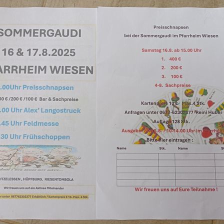 Das Bild zeigt einen Veranstaltungsflyer für Sommergaude im Pferdeheim Wiesen am 16. und 17. August 2025. Es enthält Preise für Eintritt und Preise, Aktivitäten und ein auszufüllendes Formular.