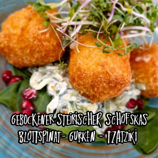 Gebackene steirische Knödel mit Granatapfelsamen und Mikrogrün auf einem Bett aus Spinat und Tzatziki-Sauce.