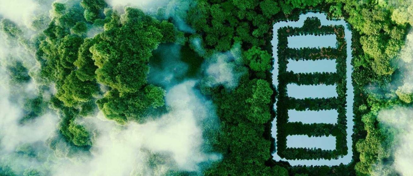 Bild enthält, Land, Nature, Outdoors, Tree, Vegetation, Woodland, Rainforest, Aerial View, Jungle