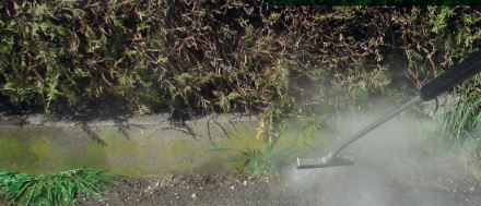 Eine Person reinigt den Bürgersteig mit einem Hochdruckreiniger und sprüht Wasser in der Nähe von Pflanzen auf den Boden.