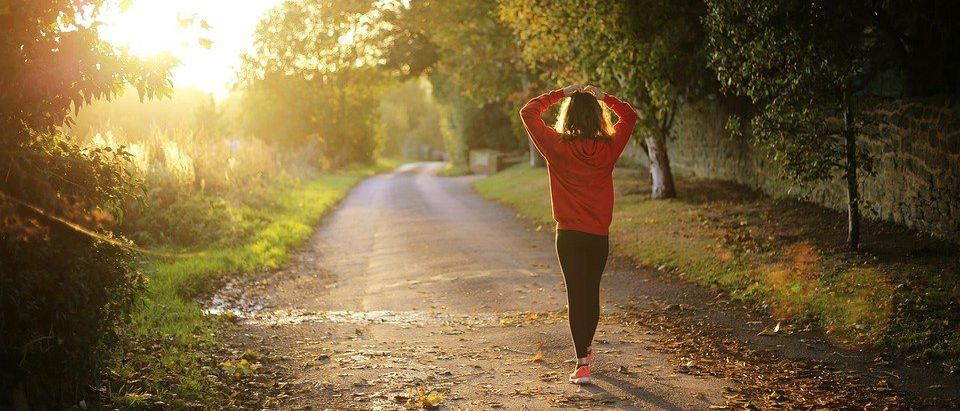 Eine Frau in einem roten Hoodie und schwarzen Hosen joggt auf einer Straße mit Bäumen und Gras auf beiden Seiten. Die Sonne scheint hell auf die Straße.