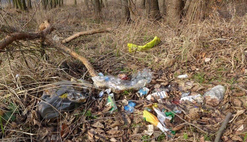 Ein Waldgebiet, das mit Plastikmüll übersät ist, einschließlich Flaschen, Beutel und anderer Trümmer, die auf dem Boden verstreut sind.