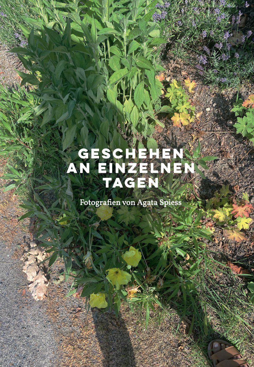 Ein Buchcover mit einem Foto verschiedener Pflanzen, betitelt 'Geschehen an einzelnen Tagen' von Agata Spiess. Die Pflanzen sind lebhaft und vielfältig.
