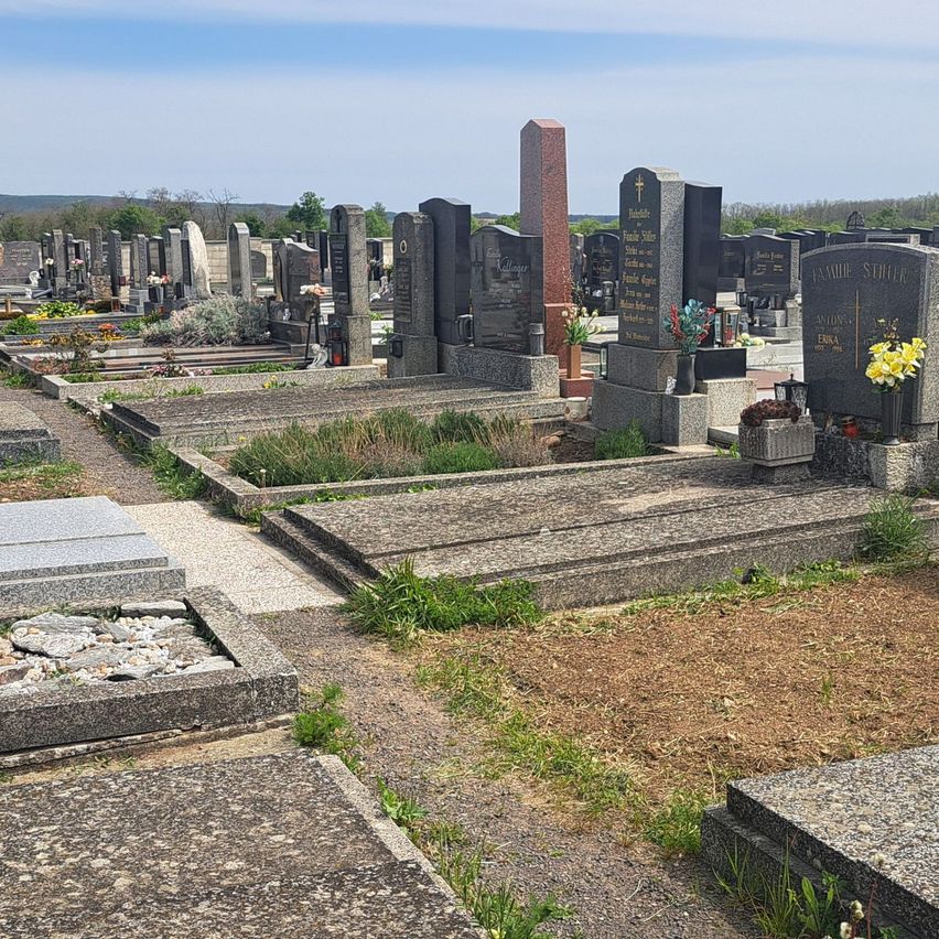 Ein Friedhof mit zahlreichen Grabsteinen, einige mit Blumen und Vasen, unter einem blauen Himmel mit entfernten Bäumen.