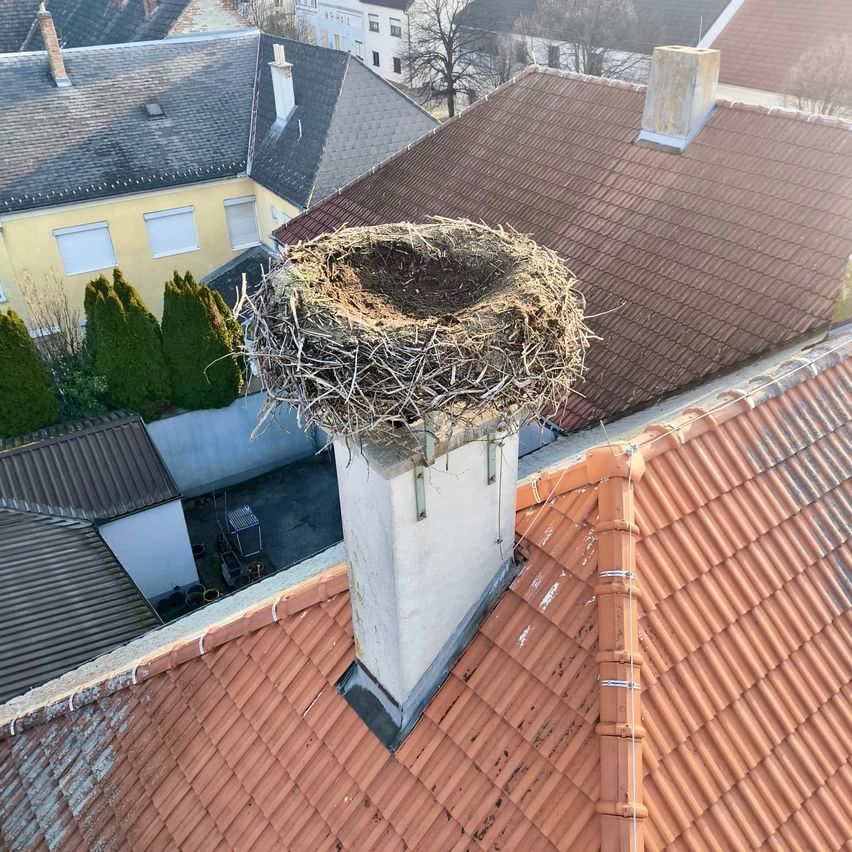 Auf einem Dach befindet sich ein Storchennest auf einem Schornstein. Um das Nest herum sind rote Dachziegel. Hinter dem Nest stehen mehrere Häuser, einige mit Fenstern und Schornsteinen.