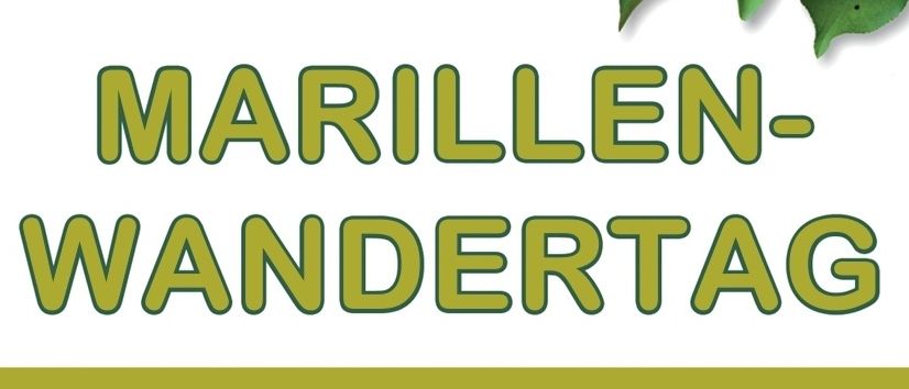 Plakat für die Marillen-Wandertag Veranstaltung am 19. April 2025. Sie beginnt um 10 Uhr am Sportplatz Kitsee. Aktivitäten umfassen einen markierten Wanderweg, Raststationen, Essen und Getränke, eine Tombolaverlosung und Musik.