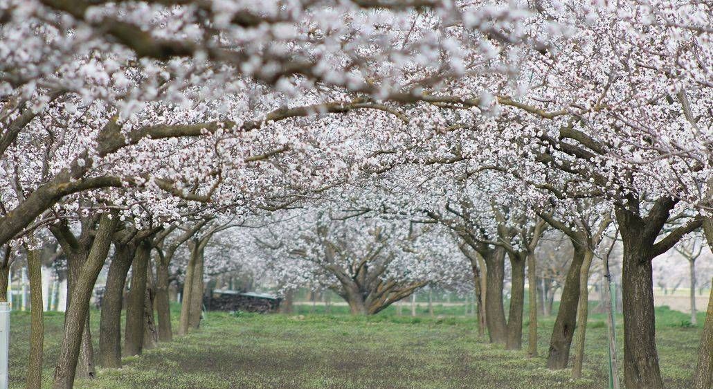 v1_migrated_image_17387424