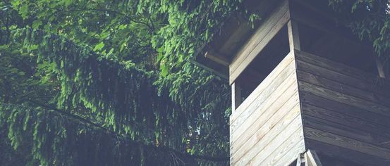 Nature, Outdoors, Rainforest, Tree, Vegetation, Interior Design, Housing, Jungle, Cabin, House